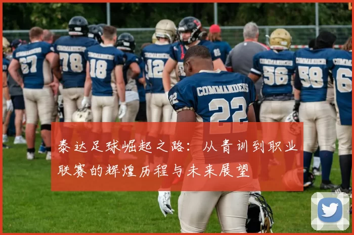 泰达足球崛起之路：从青训到职业联赛的辉煌历程与未来展望