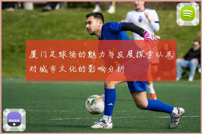 厦门足球场的魅力与发展探索以及对城市文化的影响分析