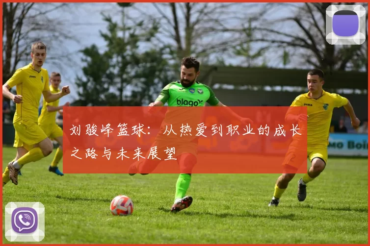 刘骏峰篮球：从热爱到职业的成长之路与未来展望