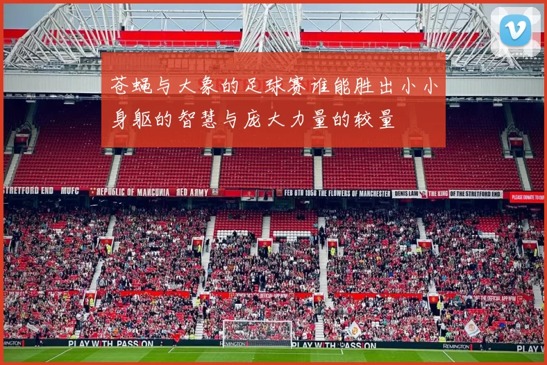 苍蝇与大象的足球赛谁能胜出小小身躯的智慧与庞大力量的较量