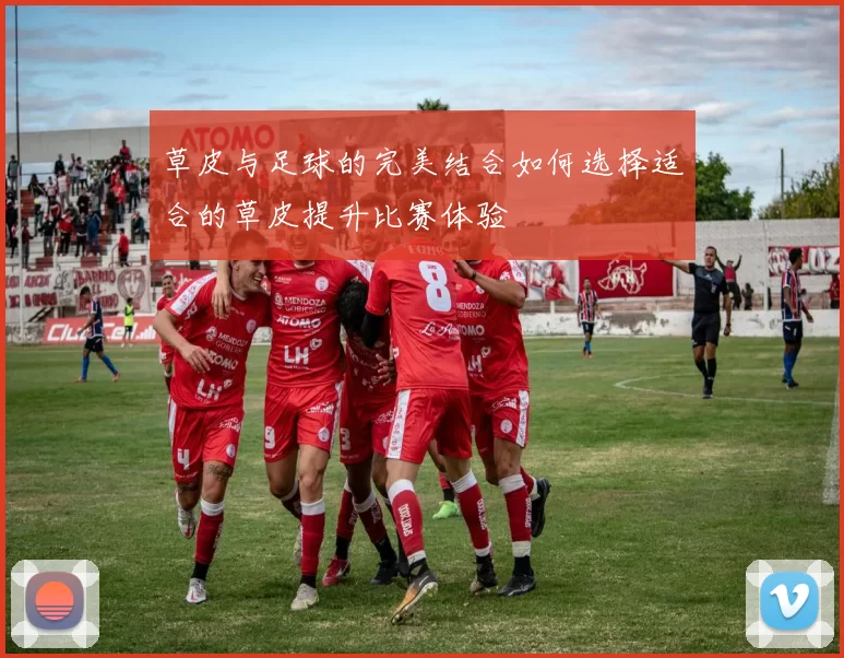 草皮与足球的完美结合如何选择适合的草皮提升比赛体验